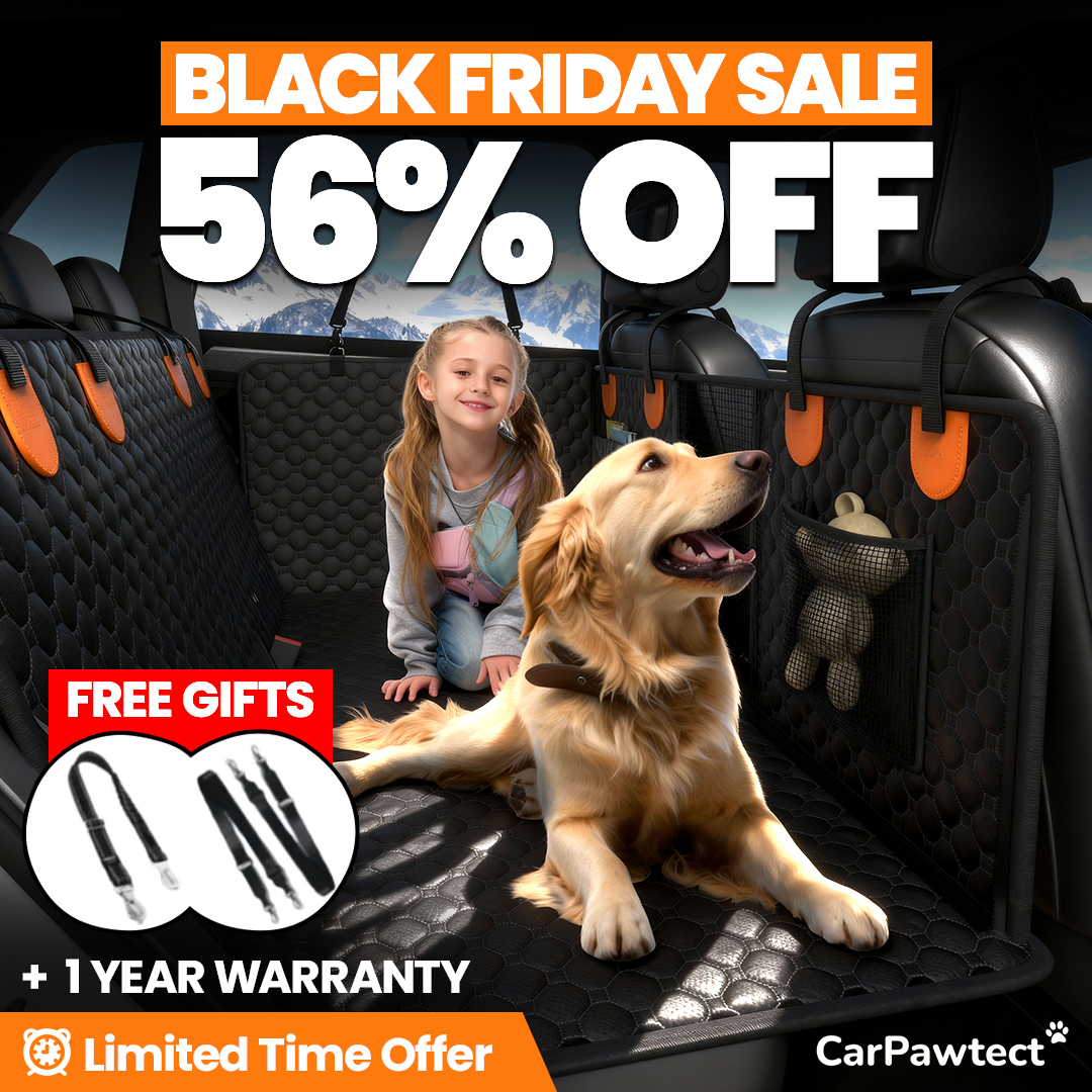 CarPawtect™ - Hard Cover Dog Seat Cover